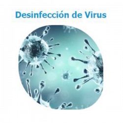 covid-19-desinfección vehículo